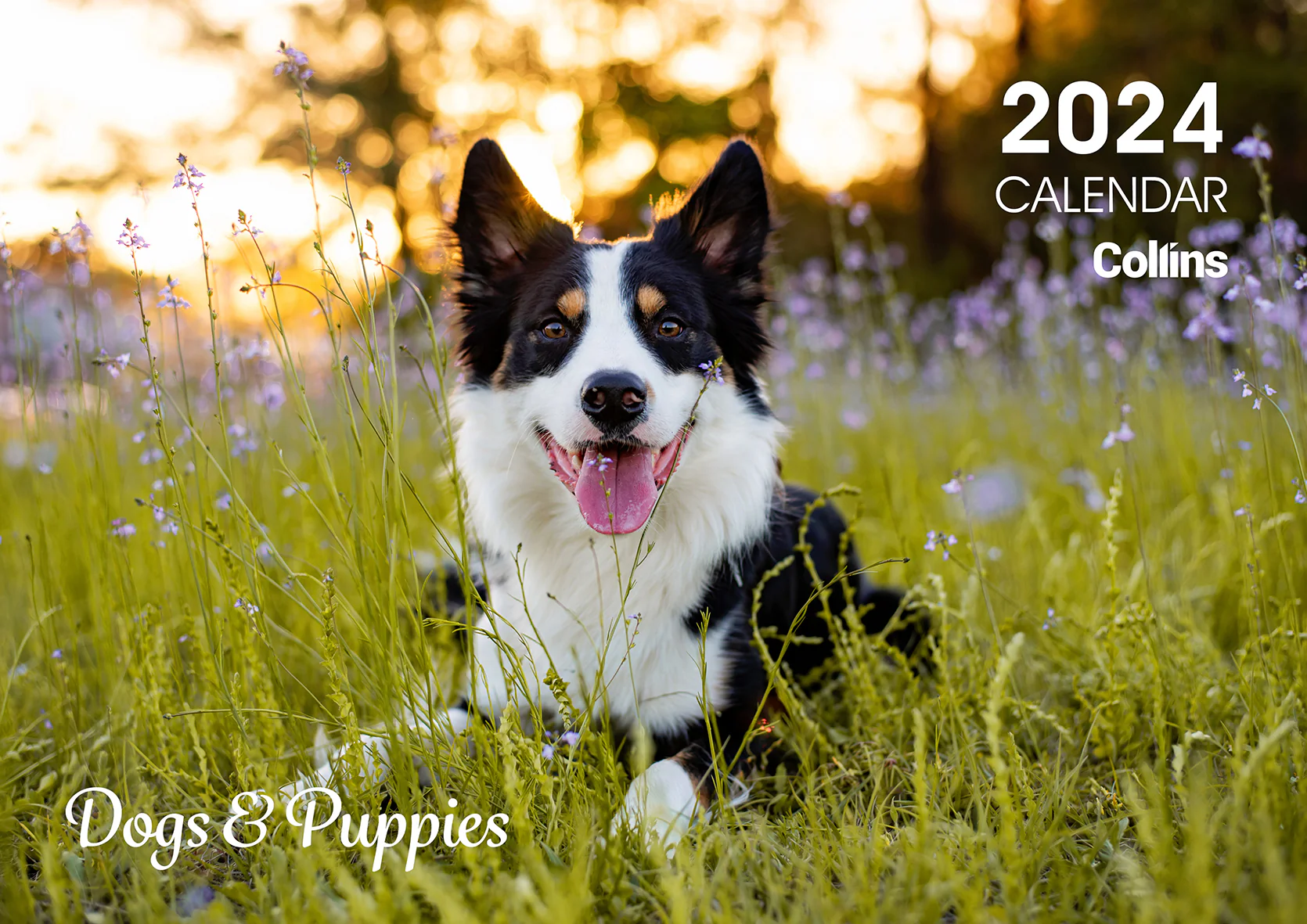 Collins Rosebank Wall Calendar A4 Dogs & Puppies - Nail Gallerys