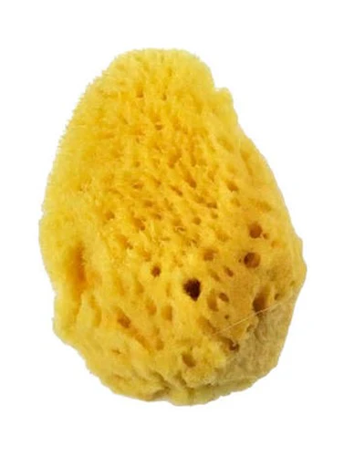 Royal Sea Silk Sponge - Nail Gallerys
