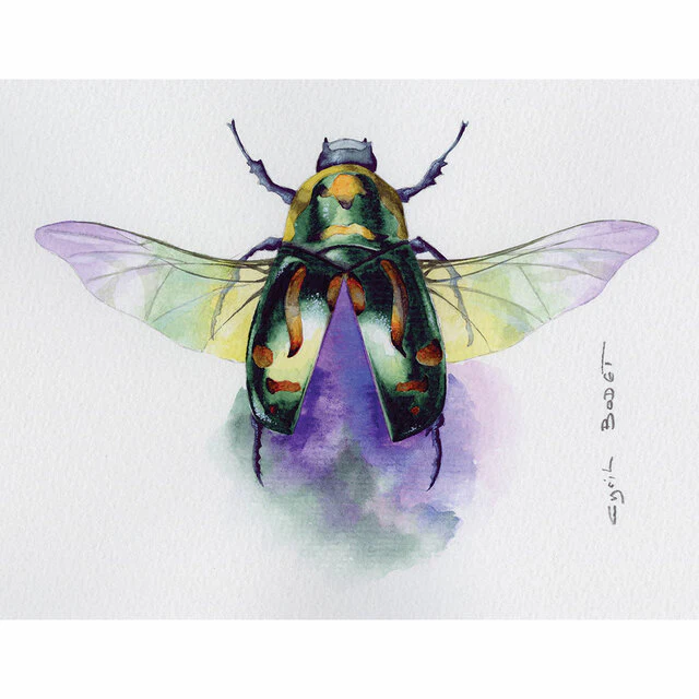 Clairefontaine Etival Cold Press Paper 56x76cm - Pack Of 10 - Nail Gallerys