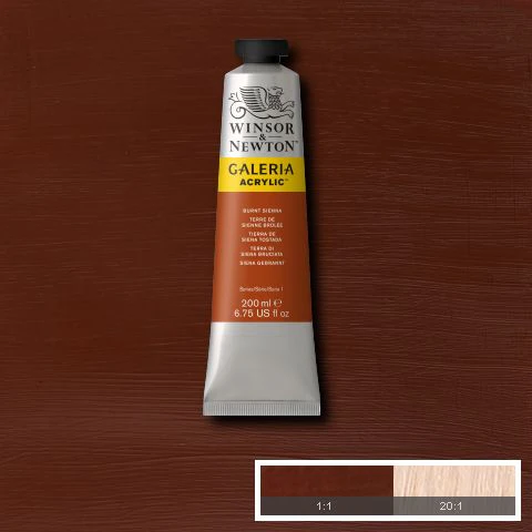 Winsor & Newton Galeria Acrylic Paints 200ml - Nail Gallerys