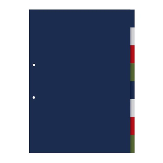 OSC Dividers Pp 8 Tab Coloured - Nail Gallerys