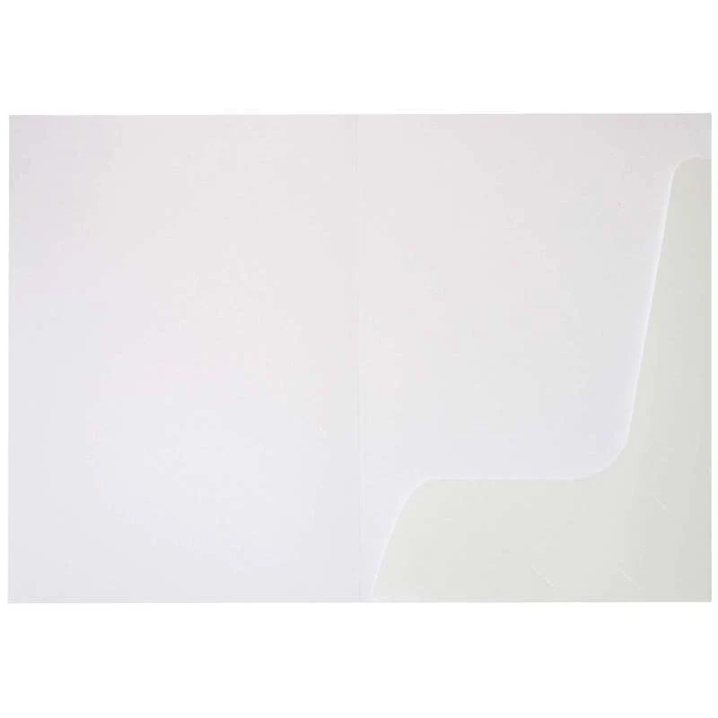 FM Folder Presentation Gloss White 50 Single Pocket Pack 250gsm - Nail Gallerys