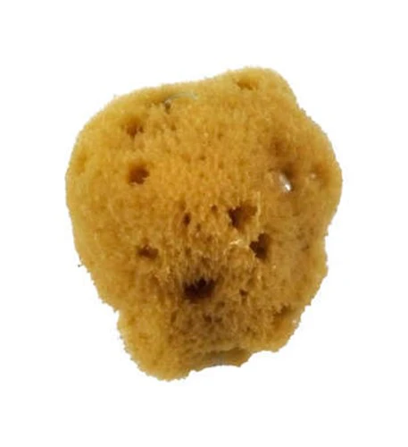 Royal Sea Silk Sponge - Nail Gallerys