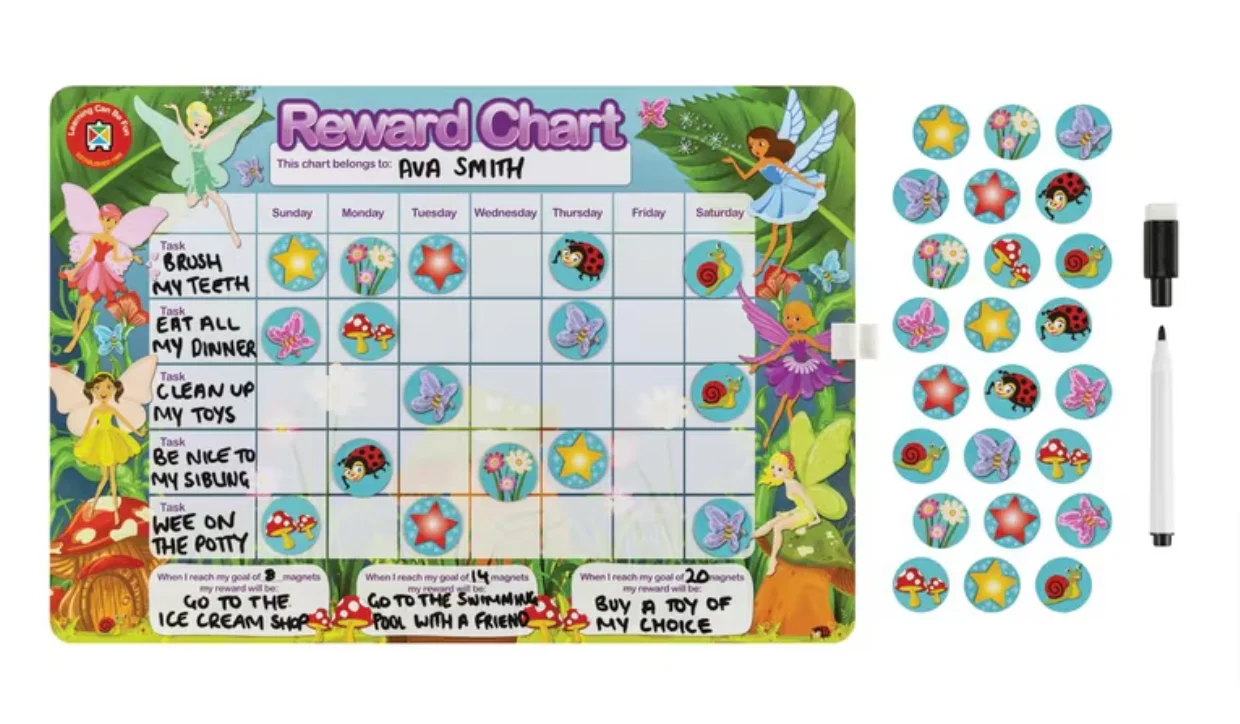 Learning Can Be Fun Fairies Magnetic Reward Chart - Nail Gallerys