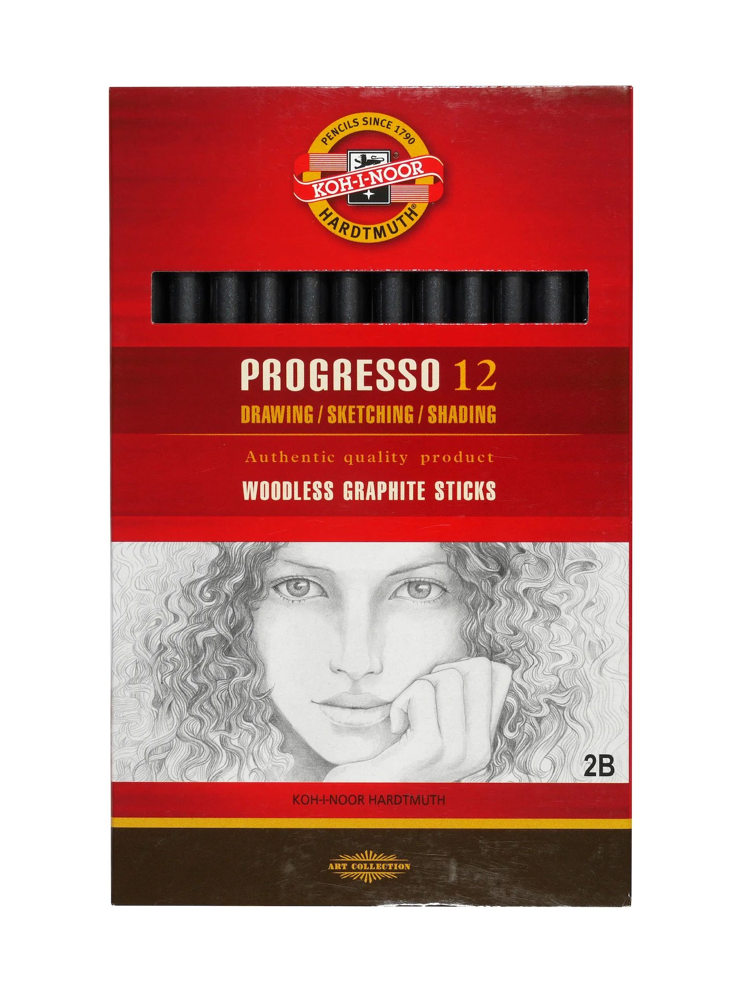 Koh-I-Noor Hardtmuth Progresso Woodless Graphite Sticks - Pack Of 12 - Nail Gallerys