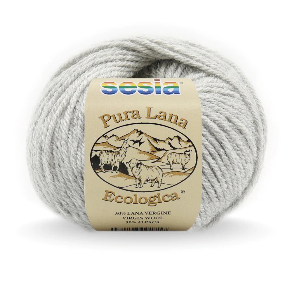 Sesia Lana Ecologica Yarn 10ply - Nail Gallerys