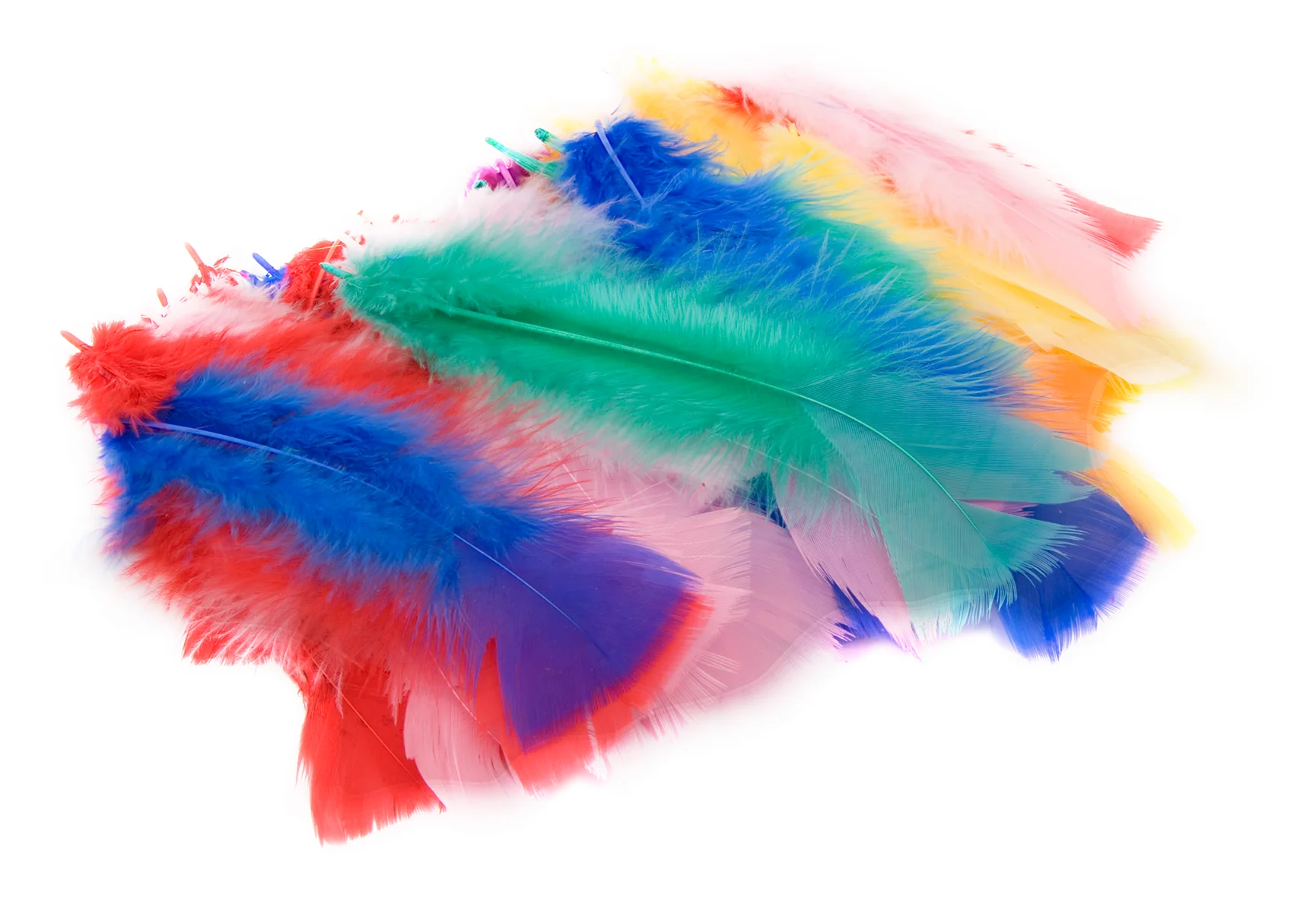 Das Feathers Assorted Colours - Nail Gallerys