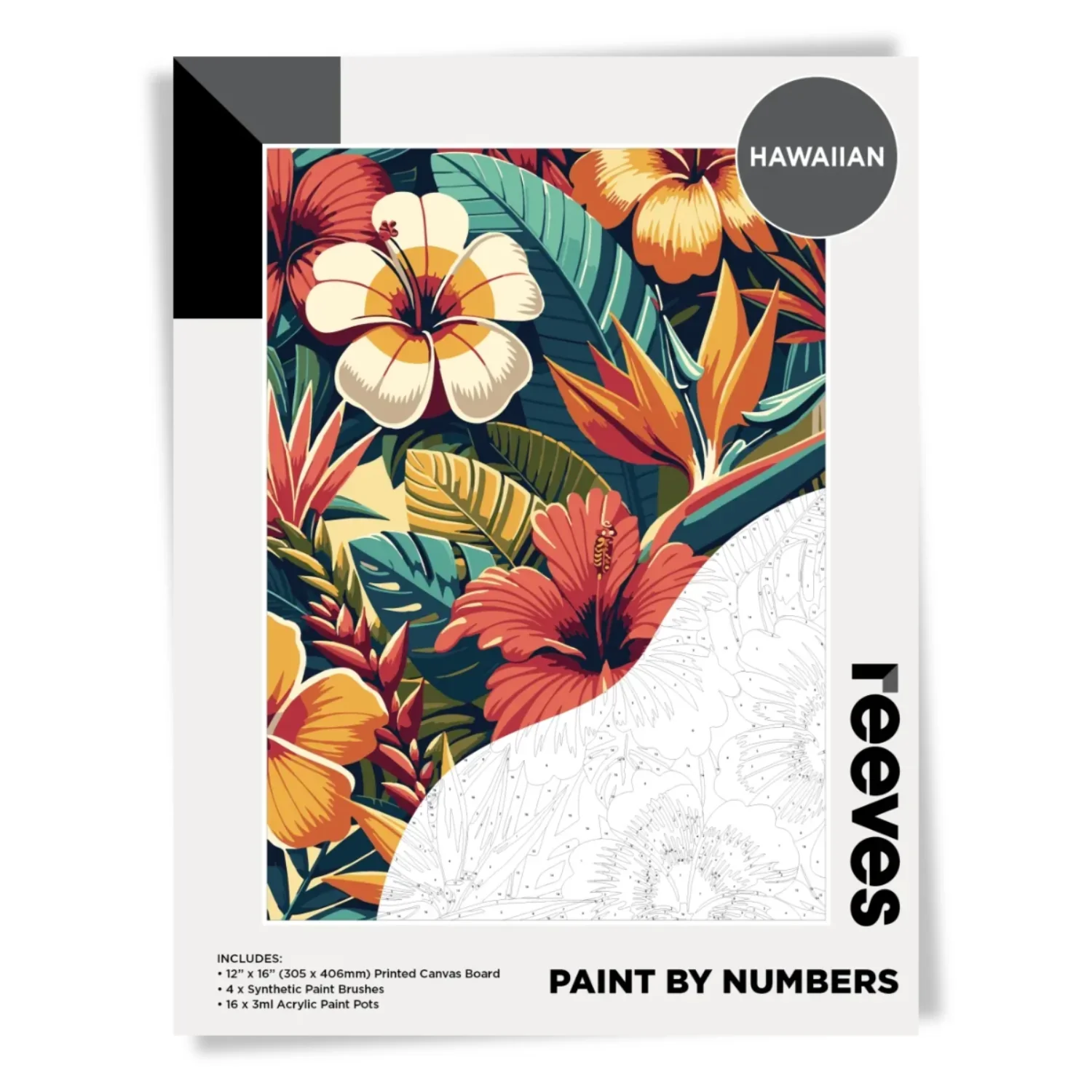 Reeves Paint by Numbers 12X16