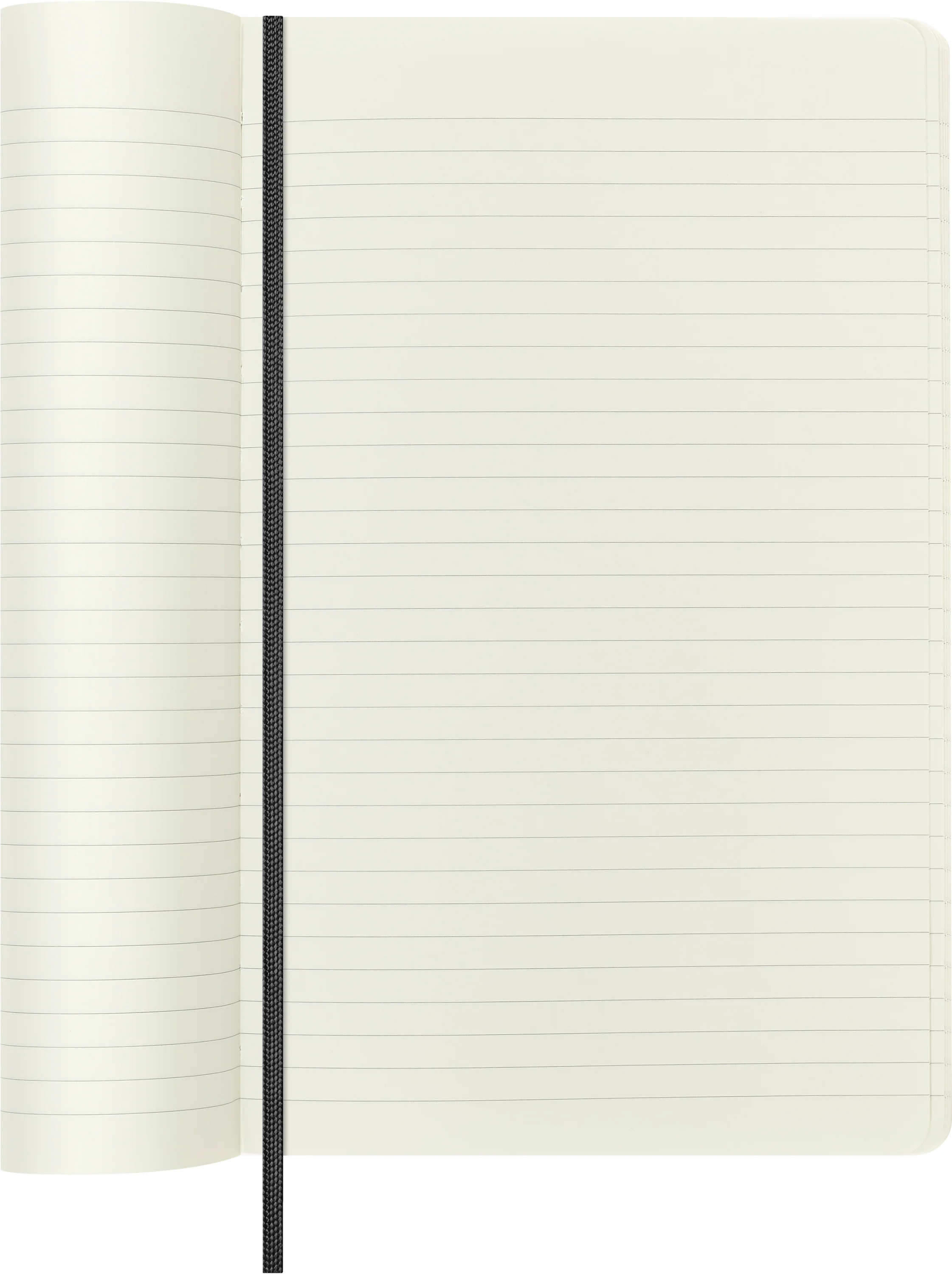 Moleskine 12 Month Weekly + Notes HC Large Precious + Ethical Boa Diaries - Nail Gallerys