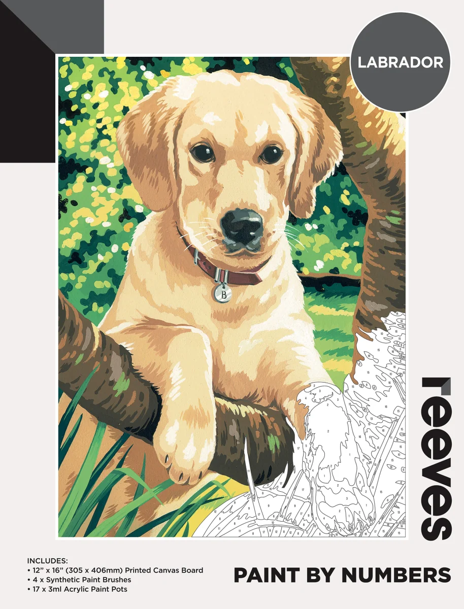 Reeves Paint By Numbers 12x16 Inch Labrador - Nail Gallerys
