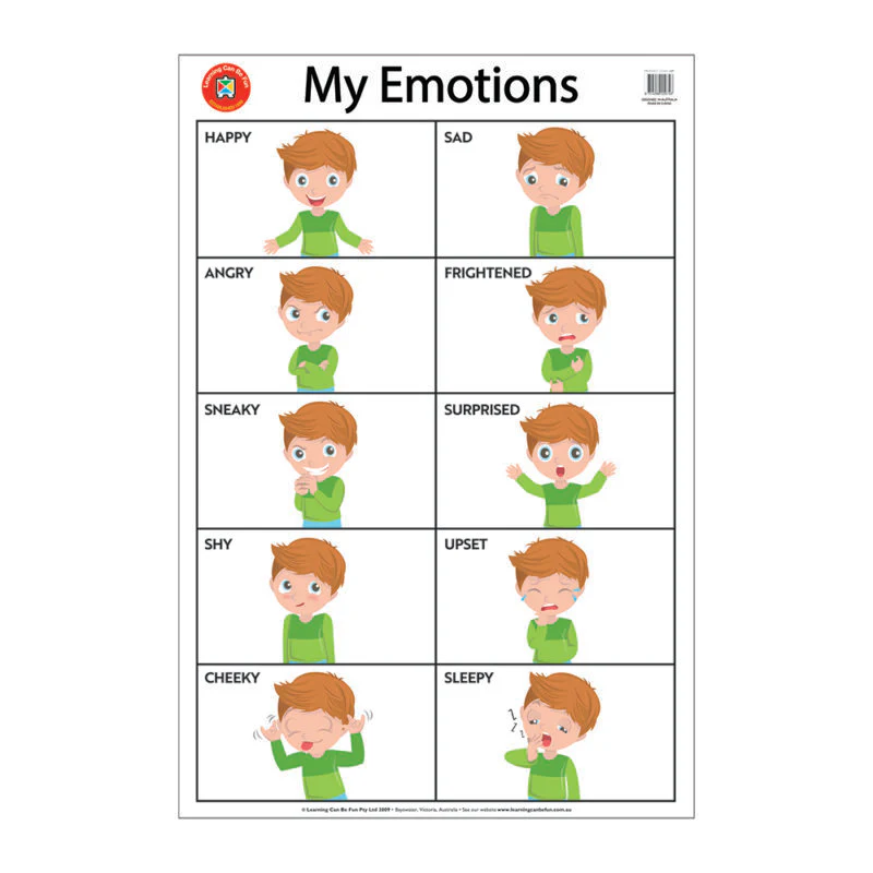 Learning Can Be Fun My Emotions Wall Chart - Nail Gallerys