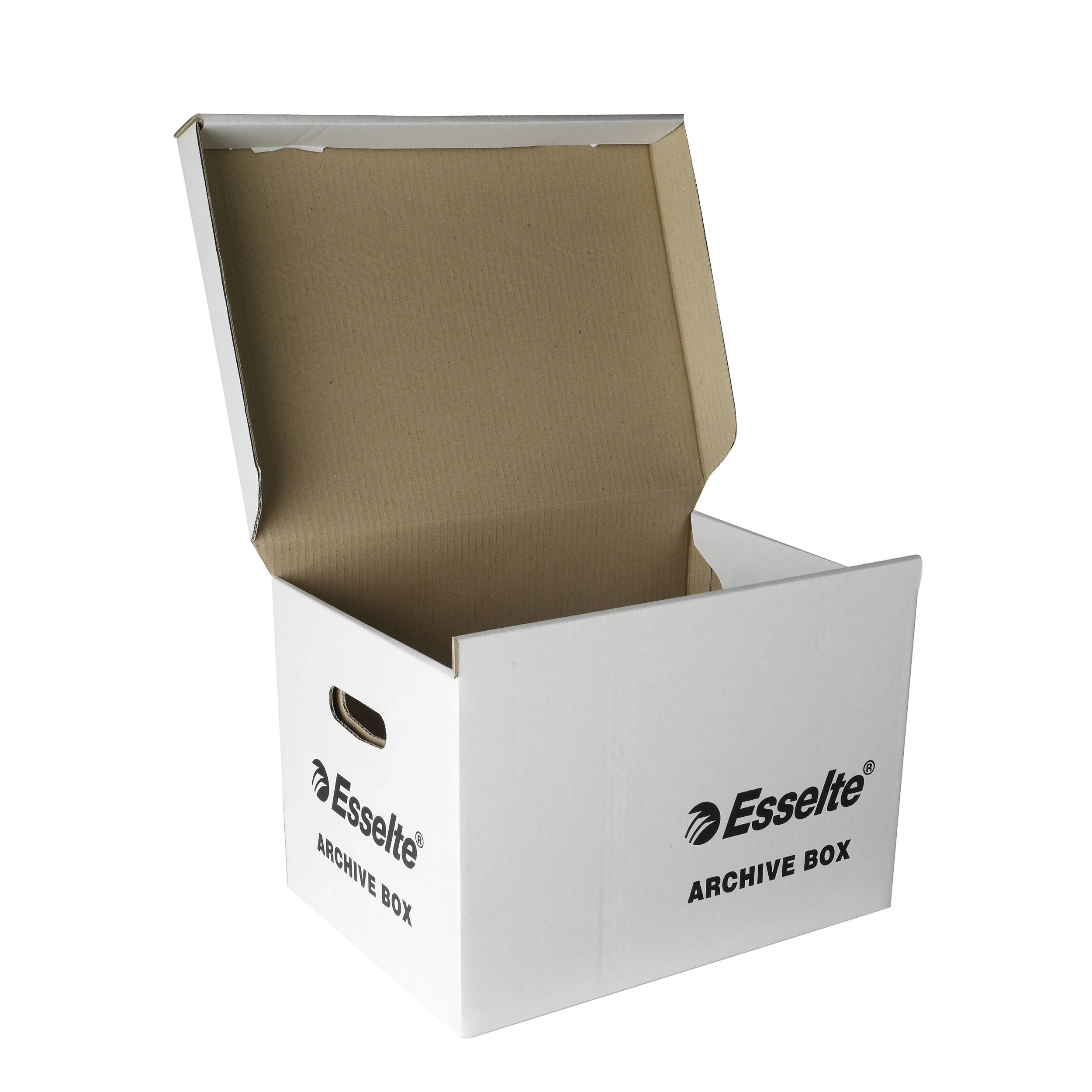 Esselte Archive Box Hinged Lid White - Pack Of 10 - Nail Gallerys