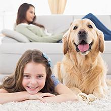 Référence produit : 103201