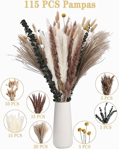 Xaosin Pampas Sechees Decoration 115 Pièces Bouquet Fleurs Séchées Deco Maison Fleurs Sechees Naturelles Herbe de la Pampa Decoration Chambre pour Boho Mariage Anniversaire Fête Rustique - Nail Gallerys