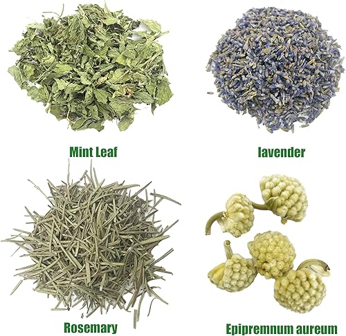 Cayway 18 Pack Fleurs Séchées Naturelles Fleur Séchées pour Bougie Savon, Boutons de Roses Séchés Fleur Jasmin pour La Fabrication de Bijoux en Résine de Bougie de Savon - Nail Gallerys