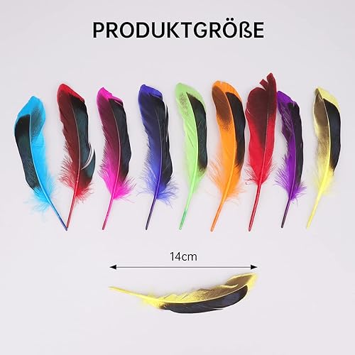 GoldRock Lot de 50 Plumes colorées pour travaux manuels - Plumes - pour Enfants - Décoration de Mariage - Attrape-rêves - Plumes - Plumes - pour Bricolage - pour Les Boucles d'oreilles - Nail Gallerys