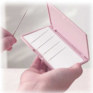 Magnetische Nadelbox