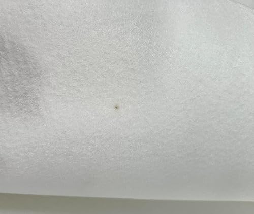 Minor Defects Entoilage en polaire thermocollante pour couture, poids moyen pour la fabrication de sacs (blanc, 120 cm x 1 m) - Nail Gallerys