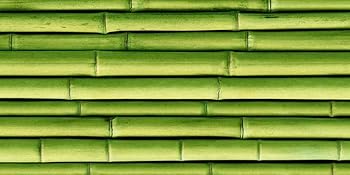 Pince à Thé Bambou