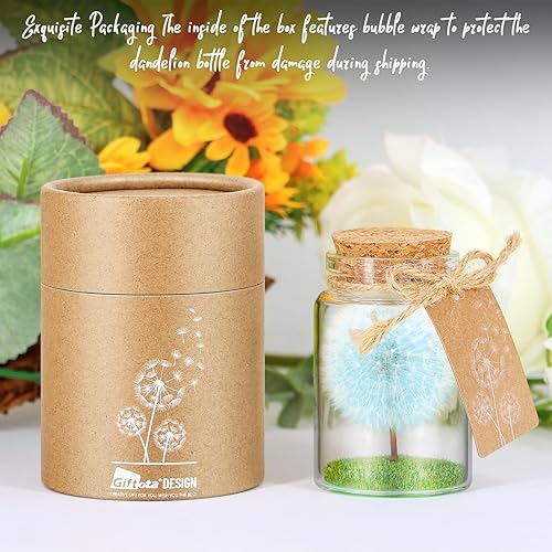 Giftota Véritable Pissenlit dans Un Verre avec boîte Cadeau – Fait à la Main – Cadeau d'anniversaire, de Mariage, de fête des mères - Nail Gallerys