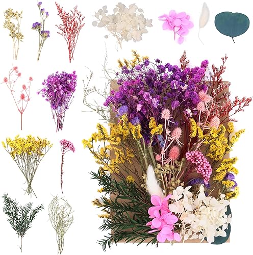 NVIYAM Ensembles de Fleurs Séchées Naturelles Vraies Fleurs Pressées Décoration Naturel Fleur Sechees Fleurs Mélangées Naturelles pour Resine Epoxy Fleurs Séchées Scrapbooking DIY Bougie Fabrication - Nail Gallerys