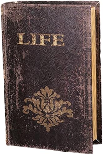 Emiif Boîte de rangement pour livres anciens - Décoration vintage - Boîte de rangement pour bijoux (grande) - Nail Gallerys