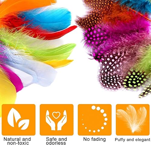Lot de 300 Plumes de Multicolore, Plumes Colorées, Non-Toxique Naturelle Plumes, Plume Décoration pour Costumes, Chapeaux, Décoration d'intérieur Fete Mariage Anniversaire, Multicolore - Nail Gallerys