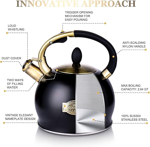 SUSTEAS Bouilloire sifflante en acier inoxydable pour cuisinière, bouilloire theiere à induction avec poignée ergonomique, 1 gant en silicone inclus, 2,6 litres (noir) - Nail Gallerys