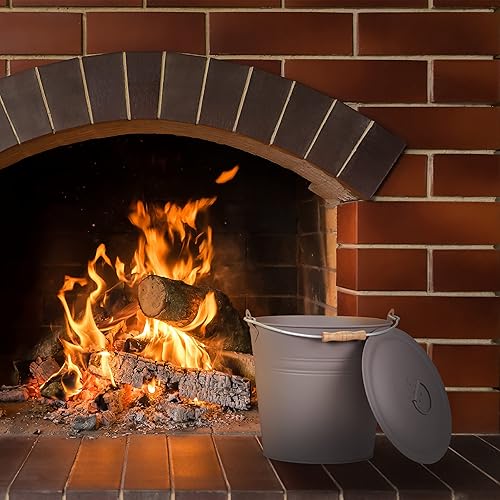 relaxdays Seau à Cendres, avec Couvercle, 12 litres, poignée de Transport, bac à Charbon, cheminée & Barbecue, Gris - Nail Gallerys