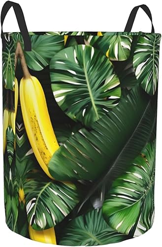 Panier circulaire imprimé banane et palmier, panier à linge, paniers de rangement pliables, pour ranger jouets, vêtements, livres - Nail Gallerys