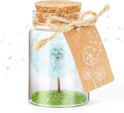 Giftota Véritable Pissenlit dans Un Verre avec boîte Cadeau – Fait à la Main – Cadeau d'anniversaire, de Mariage, de fête des mères - Nail Gallerys