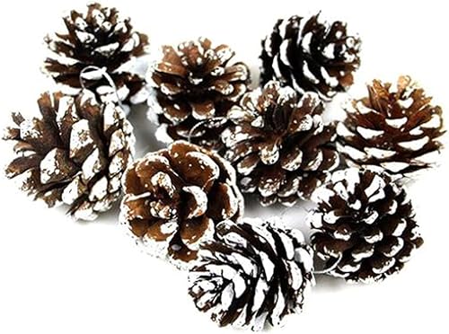 Ashuxxn 48 Pièces Pommes de Pin Naturelles Séchées Décoratives à Suspendre pour Décoration de Sapin de Noël (Naturel) - Nail Gallerys