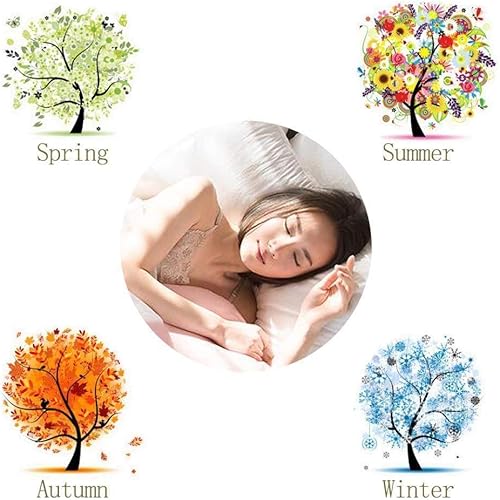 Couvre-lit Jupes De Lit, 3 Pièces Dentelle Jupe Dessus De-lit Draps Avec Jupe De Lit à Volants Anti-poussière Princesse/Anti-Rides/antidérapante,RosePink-200x220cm - Nail Gallerys