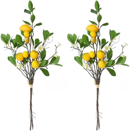 Xshelley Lot de 2 bouquets de branches de citron artificielles, 8 tiges de citron, faux citrons avec tige de citron, pour chambre, cuisine, bureau, extérieur et décoration de ferme - Nail Gallerys