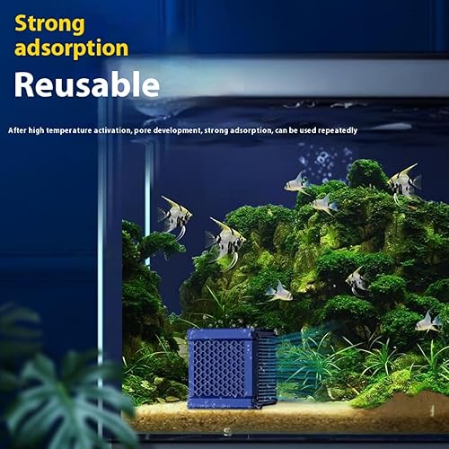 MLordoarf Cubes filtrants à charbon actif pour abreuvoirs à chevaux, aquariums et étangs – Filtre à eau respectueux de l'environnement pour nettoyer les impuretés et les odeurs - Nail Gallerys