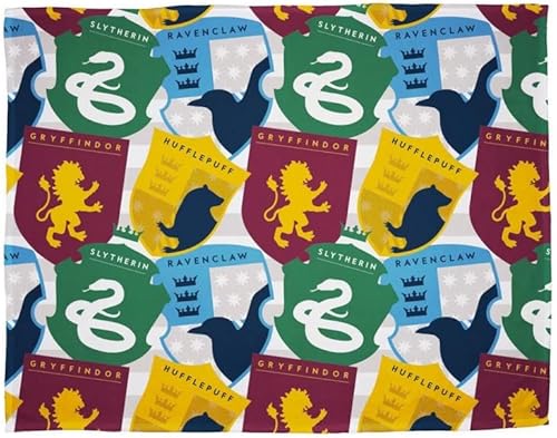 Character World Couverture en Polaire Officielle Paw Patrol - Motif Dinosaure - Super Douce - Idéale pour n'importe Quelle Chambre - 100 x 150 cm - Nail Gallerys