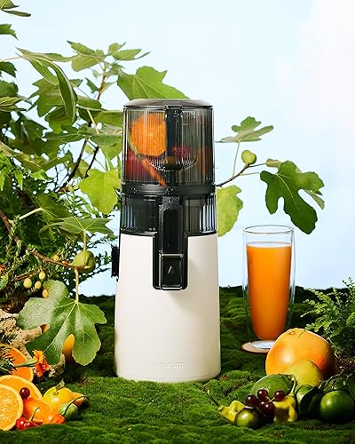Hurom H70ST Nouveau Slow Juicer | Presse à froid électrique | Extracteur de jus pour légumes et fruits | Capacité de 1,8 L | Fonction d'extraction automatique | Sans BPA | Garantie 15 ans |Gris Titane - Nail Gallerys