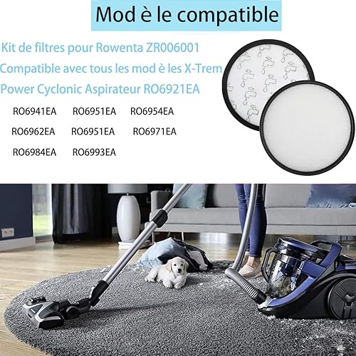 6 Lot Filtres HEPA pour Rowenta X-Trem Power Cyclonic RO72xx RO69xx ZR006001 Filtre Aspirateur pour Rowenta Silence Force Cyclonic RO72xx RO7212EA RO7236EA RO7262EA RO7260EA (6pcs-HEPA -ZR006001) - Nail Gallerys
