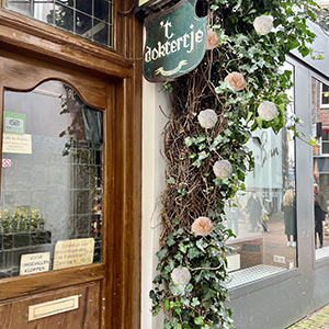 Pivoine artificielle