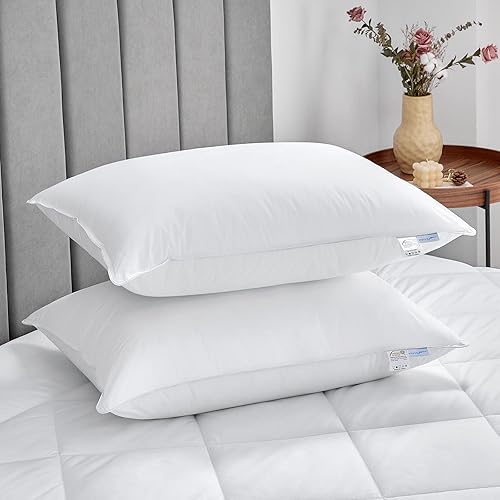 WAVVE Oreiller 50x75cm Lot de 2 avec Enveloppe 100% Coton Anti Acarien, Oreiller Ferme Moelleux Garnissage Fibres Elastiques 1050g/pièce, Coussin Rectangulaire Hotel, OEKOTEX-100 Certifié 50x75 - Nail Gallerys