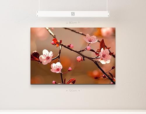 Paul Sinus Art Toile tendue Motif fleurs de cerisier japonaises, Toile, 120 x 80 cm - Nail Gallerys