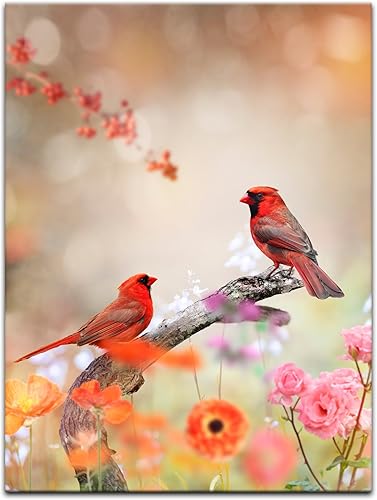 Bilderdepot24 Impression d'art - Cardinal rouge - 50x60 cm - Image sur toile - Mondes animales - Oiseau - Nature - Deux oiseaux sur un pré de fleurs - Nail Gallerys