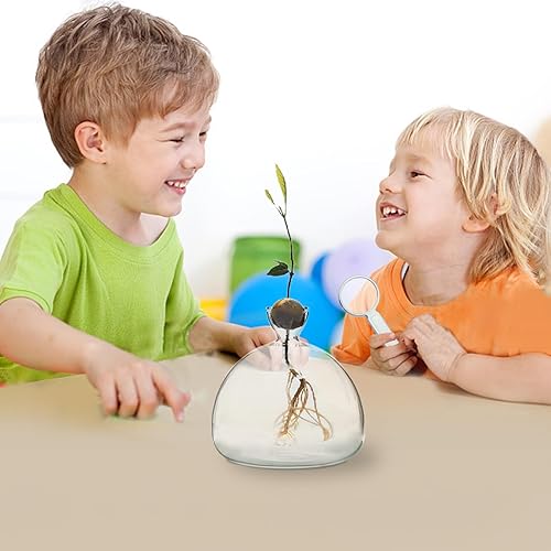 Vase de culture d'avocat, vase de démarrage de d'avocat, propagation pour pierre, pot de bulbe de en verre, pot hydroponique de , décoration de table d'intérieur, cadeau de - Nail Gallerys