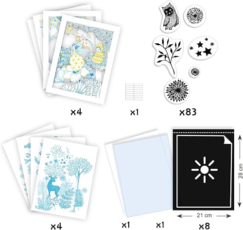 DJECO Cyanotype - Au clair de lune - Nail Gallerys