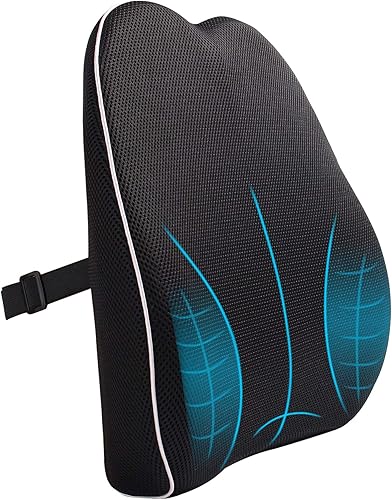 MonTrüe Coussin Lombaire Ergonomique en Mousse à Mémoire, Oreiller De Soutien du dos, Conception orthopédique pour le soulagement de la douleur au bas du dos pour maison, bureau, voyage, Noir - Nail Gallerys