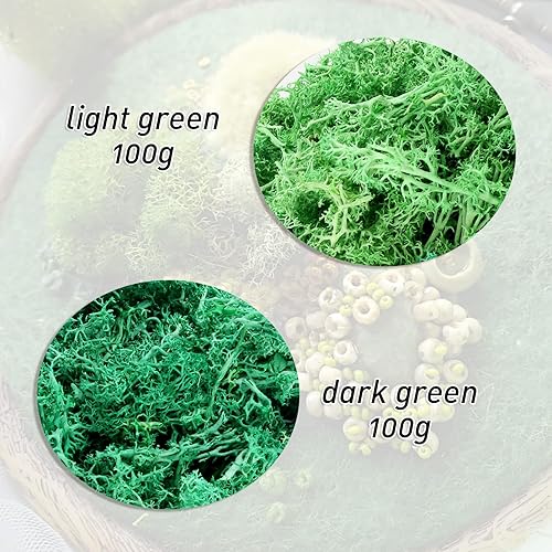 chenyu Mousse Artificielle 2 Couleurs Mousse pour Creche de Noël 200g Artisanat de Bricolage Mousse Artificielle Decoration Réutilisable Fausse Mousse Modélisme Décoration - Nail Gallerys