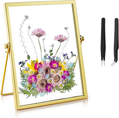 LURNODY Cadre en Verre Tenture Murale,Cadre Photo Doré Debout,Cadres en Verre Tenture Murale,Cadre Transparent Cadre Photo Verre,Cadres Photo Voir à Travers Les Deux Côtés - Nail Gallerys