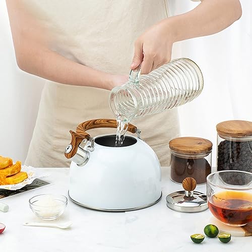 Bouilloire à Thé Sifflante, Théières à Sifflet En Acier Inoxydable Pour Dessus De Cuisinière, Théière à Eau Chaude à Induction, 2,5 Litres - Nail Gallerys