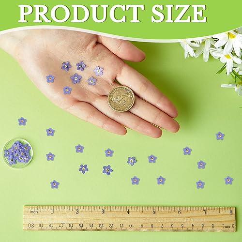 80 Pcs Fleurs Pressées Séchées Naturelles Myosotis Séchés Vraies Fleurs Bleues pour Résine avec Pince à Épiler Coudée pour Fabrication de Bijoux Cartes DIY Décor d'Ongles Artisanat - Nail Gallerys
