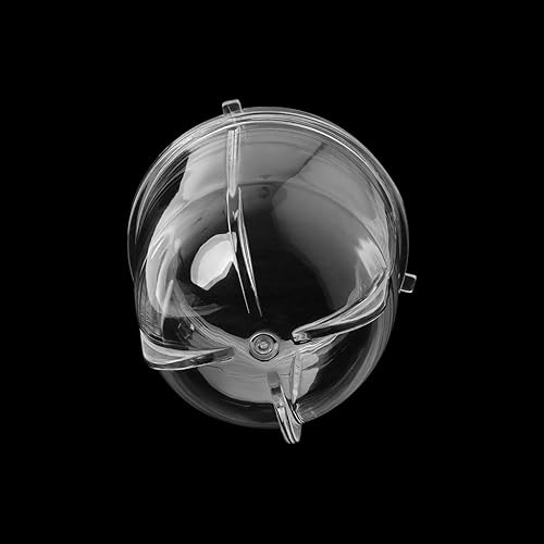 Folewr Magic Bullet Tasse de rechange avec oreille pour mixeur 250 W - Nail Gallerys